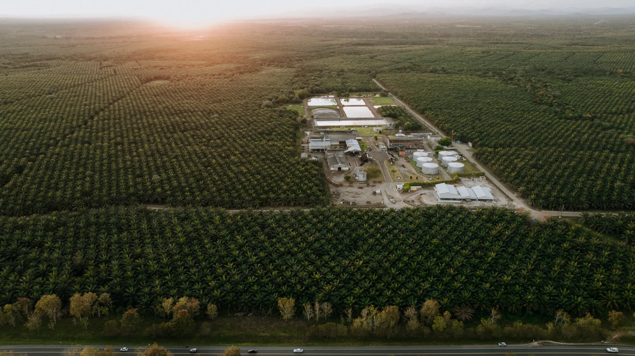 Industrial Complex from Aerial Perspective Drone aerial photography of industrial complex surrounded by green fields under golden sunset light in Dominican Republic
